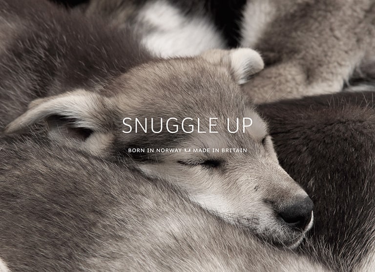 Snuggledown - Snuggle up