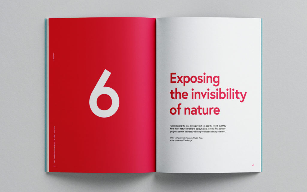 National Food Strategy - The Plan. Exposing the invisibility of nature