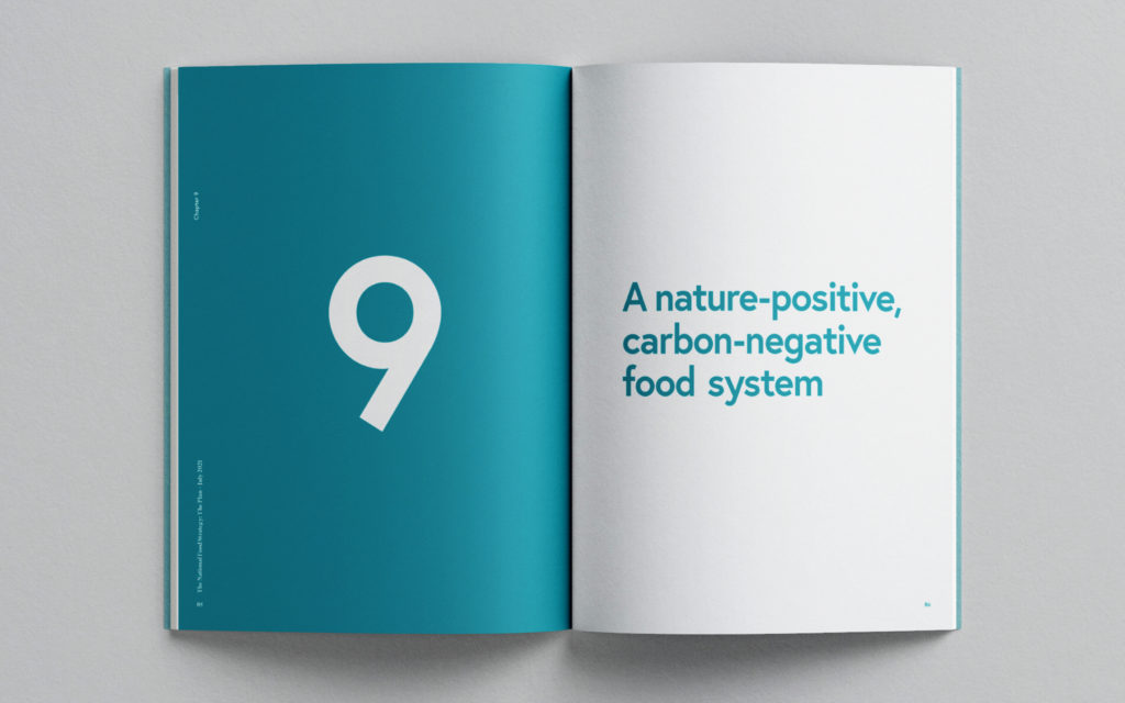 National Food Strategy - The Plan.  A nature-positive, carbon-negative food system